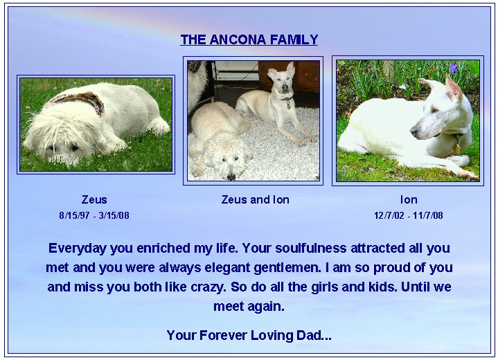 Ancona family