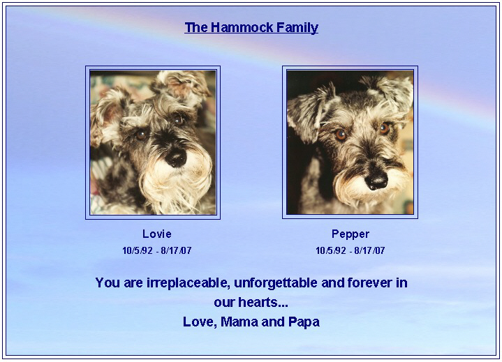 Hammock family