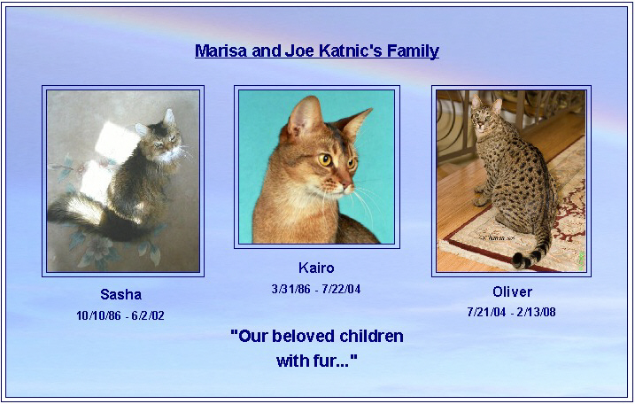 Marisa and Joe Katnic family