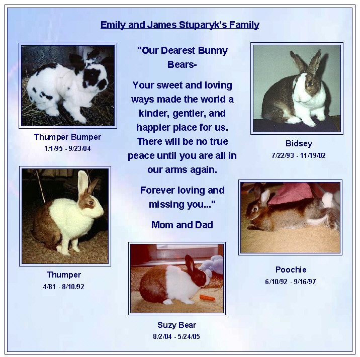 Emily and James Stuparyk pets