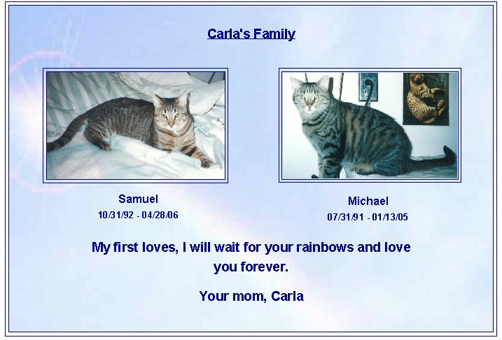 Carla pets