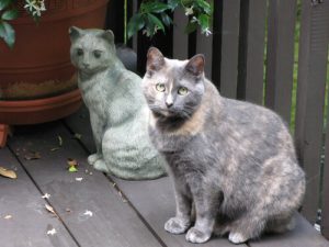 Cat sitting next to statue of a cat