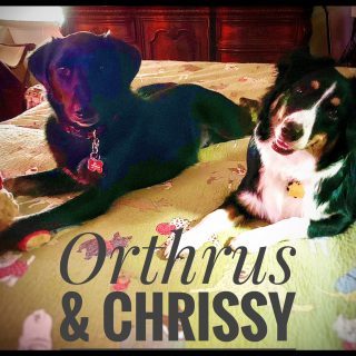 Chrissy and Orthrus